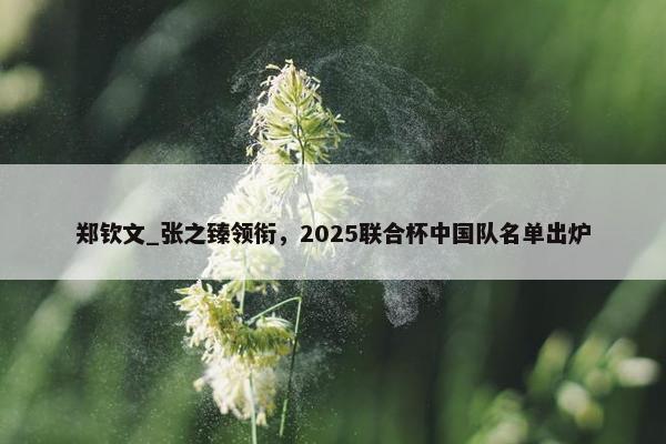 郑钦文_张之臻领衔，2025联合杯中国队名单出炉