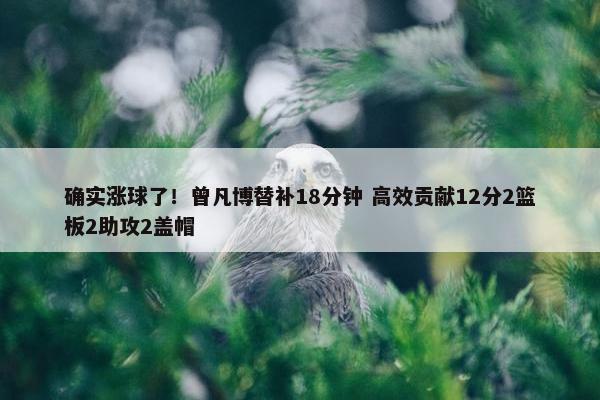 确实涨球了！曾凡博替补18分钟 高效贡献12分2篮板2助攻2盖帽