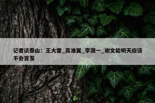 记者谈泰山：王大雷_高准翼_李源一_谢文能明天应该不会首发