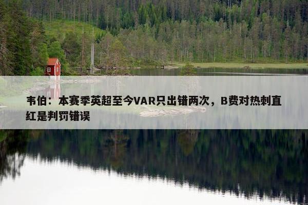 韦伯：本赛季英超至今VAR只出错两次，B费对热刺直红是判罚错误