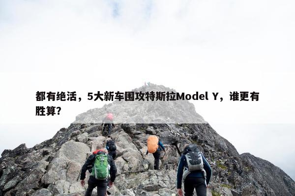 都有绝活，5大新车围攻特斯拉Model Y，谁更有胜算？