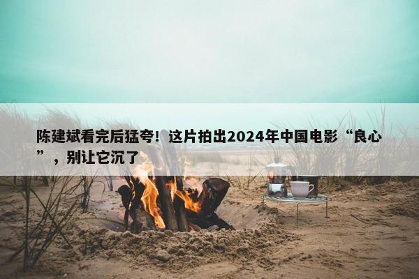 陈建斌看完后猛夸！这片拍出2024年中国电影“良心”，别让它沉了