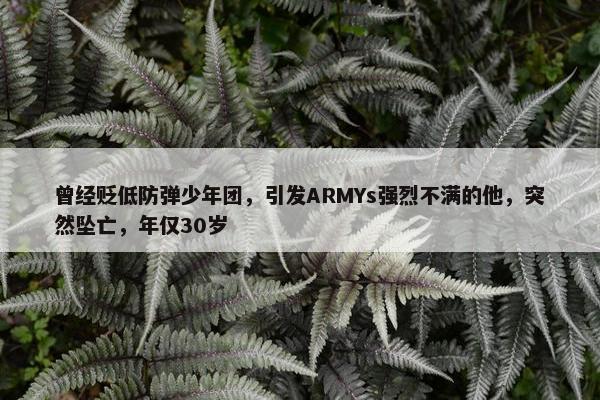 曾经贬低防弹少年团，引发ARMYs强烈不满的他，突然坠亡，年仅30岁