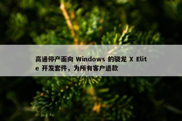 高通停产面向 Windows 的骁龙 X Elite 开发套件，为所有客户退款