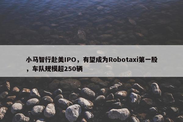 小马智行赴美IPO，有望成为Robotaxi第一股，车队规模超250辆