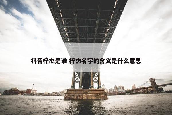 抖音梓杰是谁 梓杰名字的含义是什么意思