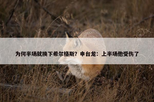 为何半场就换下希尔格斯？申台龙：上半场他受伤了