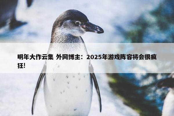 明年大作云集 外网博主：2025年游戏阵容将会很疯狂!