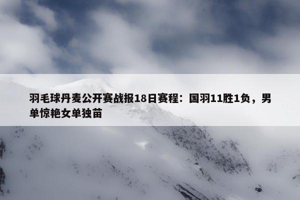 羽毛球丹麦公开赛战报18日赛程：国羽11胜1负，男单惊艳女单独苗