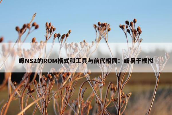 曝NS2的ROM格式和工具与前代相同：或易于模拟