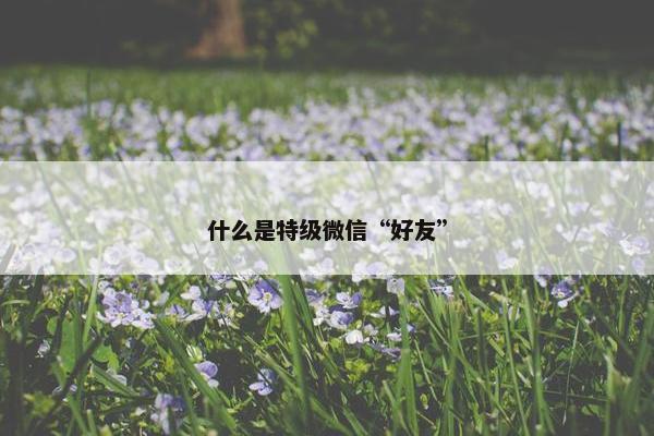 什么是特级微信“好友”