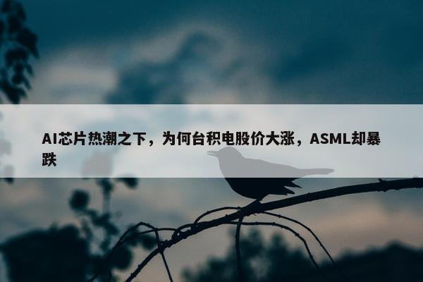 AI芯片热潮之下，为何台积电股价大涨，ASML却暴跌