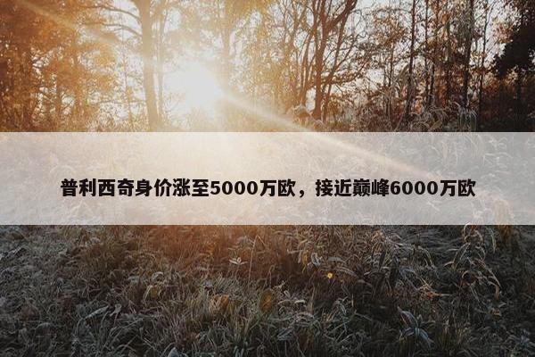 普利西奇身价涨至5000万欧，接近巅峰6000万欧