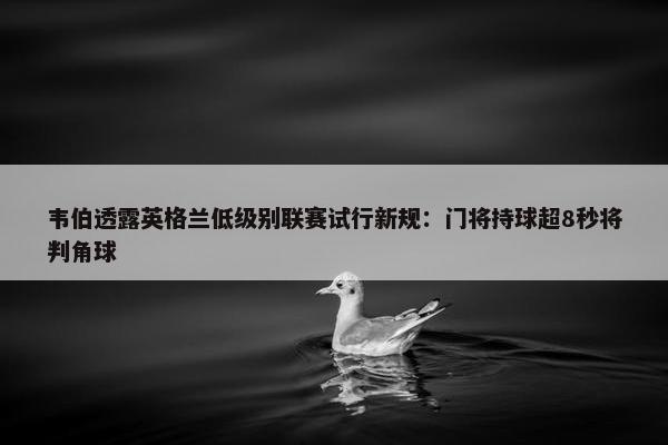 韦伯透露英格兰低级别联赛试行新规：门将持球超8秒将判角球