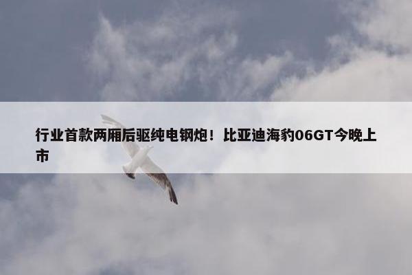 行业首款两厢后驱纯电钢炮！比亚迪海豹06GT今晚上市