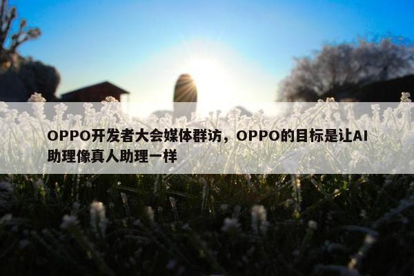 OPPO开发者大会媒体群访，OPPO的目标是让AI助理像真人助理一样