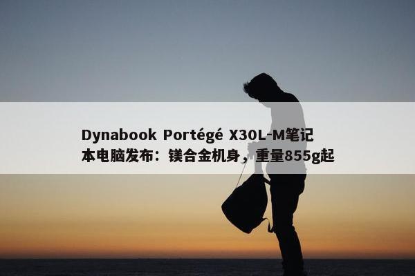 Dynabook Portégé X30L-M笔记本电脑发布：镁合金机身，重量855g起