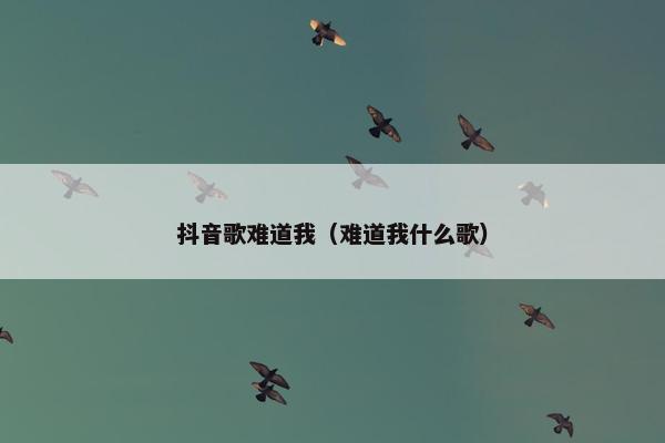 抖音歌难道我（难道我什么歌）