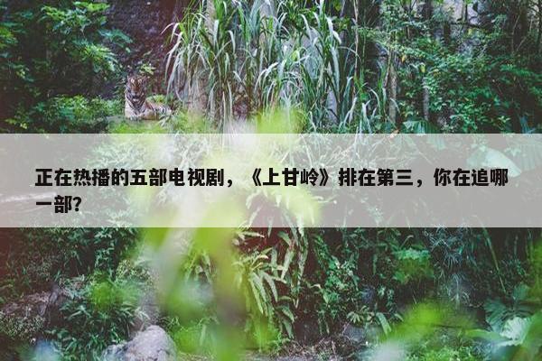 正在热播的五部电视剧，《上甘岭》排在第三，你在追哪一部？