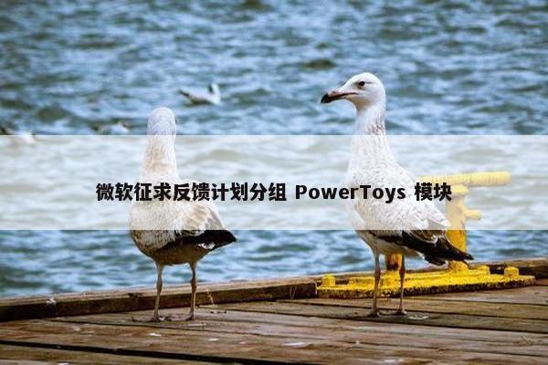 微软征求反馈计划分组 PowerToys 模块