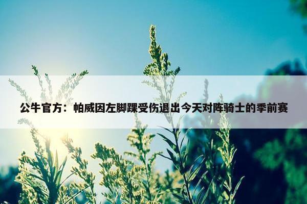 公牛官方：帕威因左脚踝受伤退出今天对阵骑士的季前赛