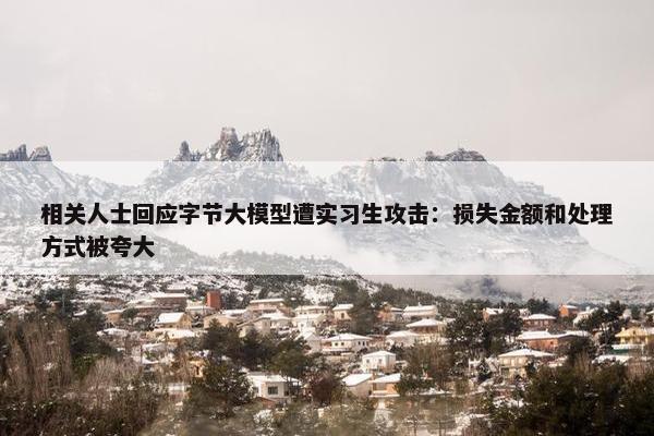 相关人士回应字节大模型遭实习生攻击：损失金额和处理方式被夸大