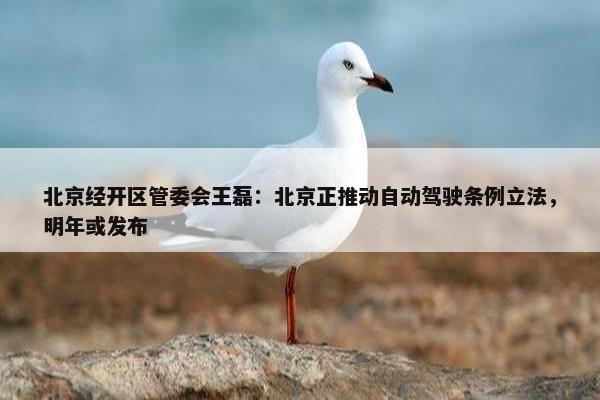 北京经开区管委会王磊：北京正推动自动驾驶条例立法，明年或发布