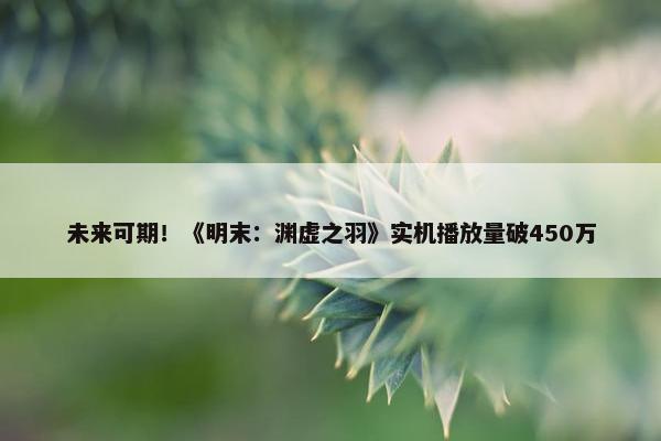 未来可期！《明末：渊虚之羽》实机播放量破450万