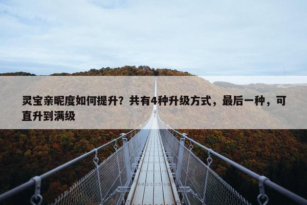 灵宝亲昵度如何提升？共有4种升级方式，最后一种，可直升到满级