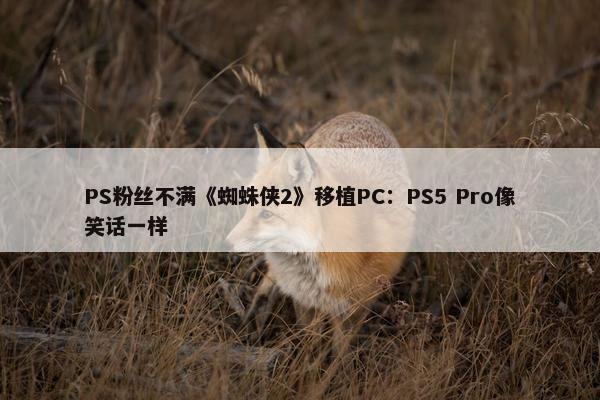 PS粉丝不满《蜘蛛侠2》移植PC：PS5 Pro像笑话一样