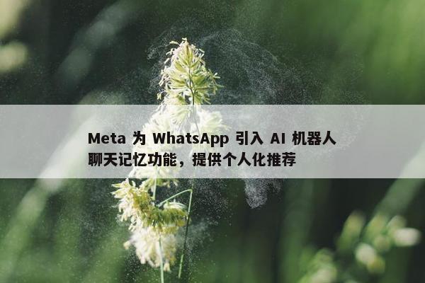 Meta 为 WhatsApp 引入 AI 机器人聊天记忆功能，提供个人化推荐