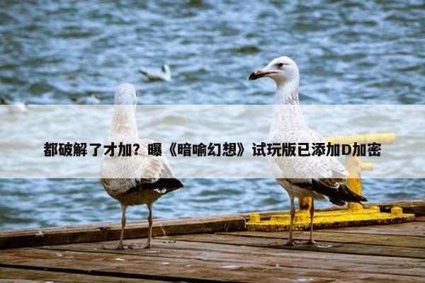 都破解了才加？曝《暗喻幻想》试玩版已添加D加密