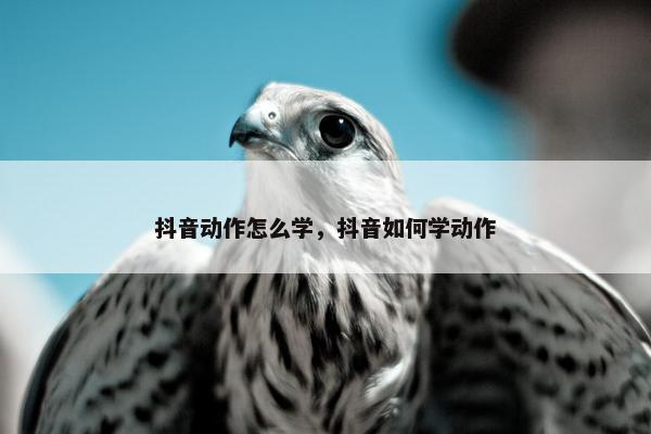 抖音动作怎么学，抖音如何学动作