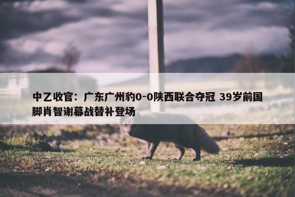 中乙收官：广东广州豹0-0陕西联合夺冠 39岁前国脚肖智谢幕战替补登场