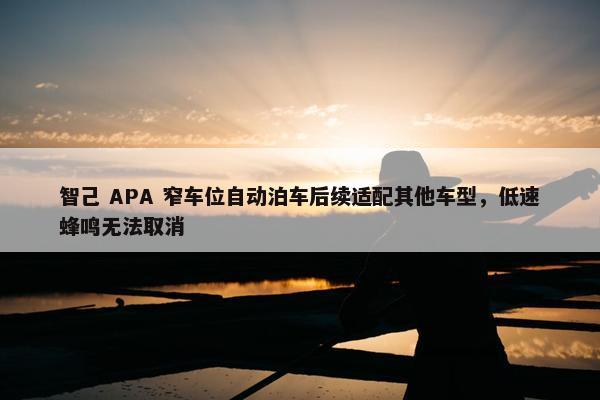 智己 APA 窄车位自动泊车后续适配其他车型，低速蜂鸣无法取消