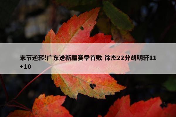 末节逆转!广东送新疆赛季首败 徐杰22分胡明轩11+10