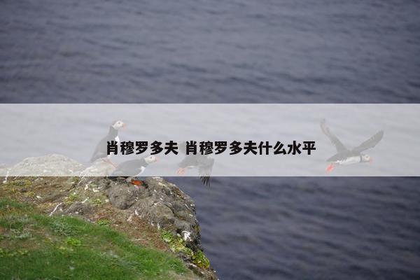 肖穆罗多夫 肖穆罗多夫什么水平