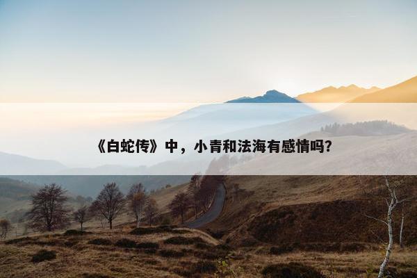 《白蛇传》中，小青和法海有感情吗？