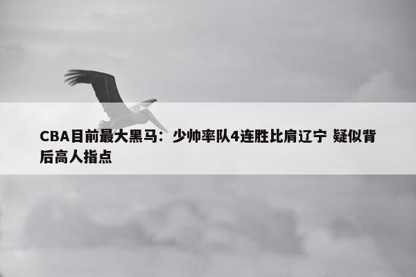 CBA目前最大黑马：少帅率队4连胜比肩辽宁 疑似背后高人指点