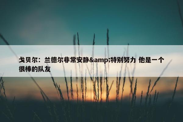 戈贝尔：兰德尔非常安静&特别努力 他是一个很棒的队友