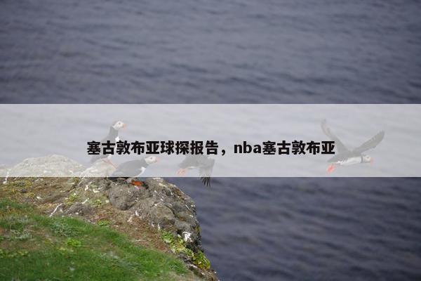 塞古敦布亚球探报告，nba塞古敦布亚