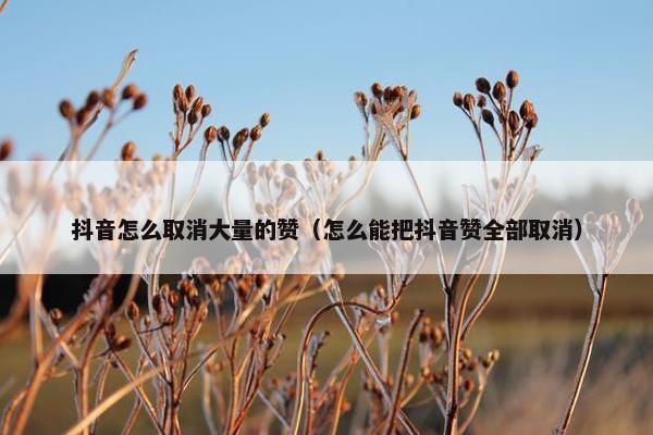 抖音怎么取消大量的赞（怎么能把抖音赞全部取消）