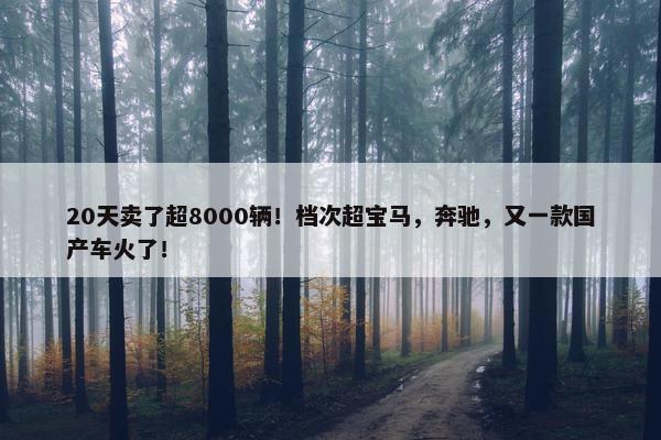 20天卖了超8000辆！档次超宝马，奔驰，又一款国产车火了！