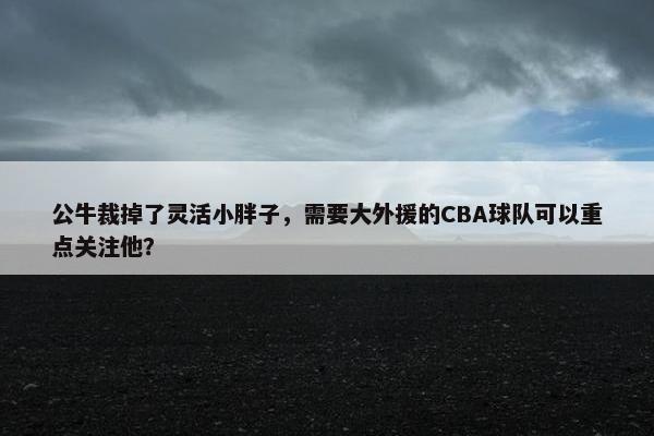 公牛裁掉了灵活小胖子，需要大外援的CBA球队可以重点关注他？