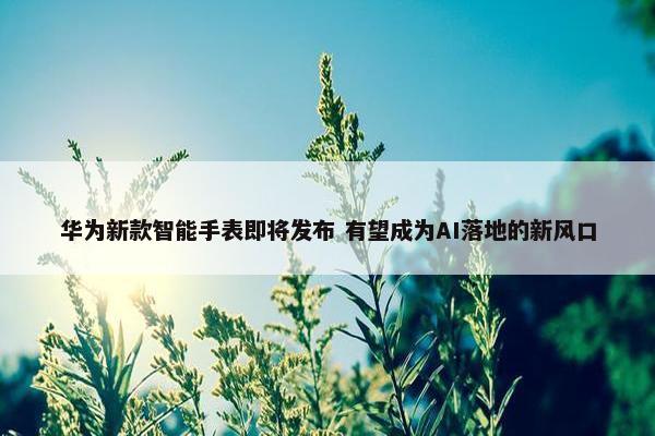 华为新款智能手表即将发布 有望成为AI落地的新风口