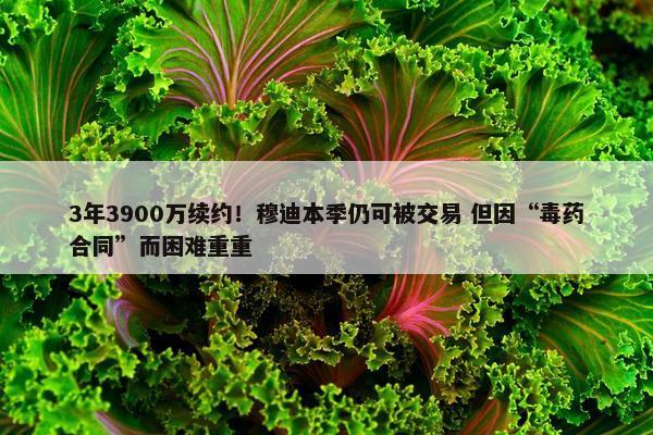 3年3900万续约！穆迪本季仍可被交易 但因“毒药合同”而困难重重