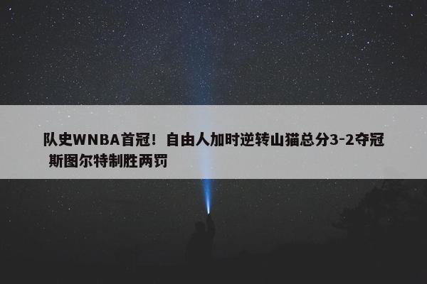 队史WNBA首冠！自由人加时逆转山猫总分3-2夺冠 斯图尔特制胜两罚