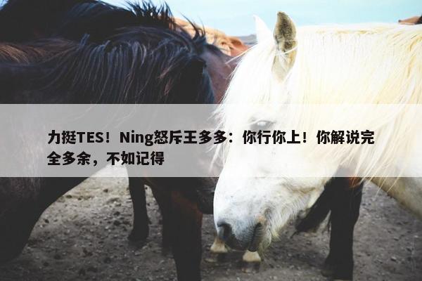 力挺TES！Ning怒斥王多多：你行你上！你解说完全多余，不如记得