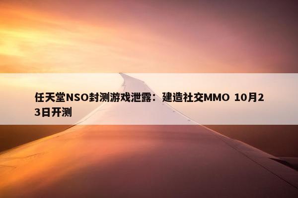 任天堂NSO封测游戏泄露：建造社交MMO 10月23日开测