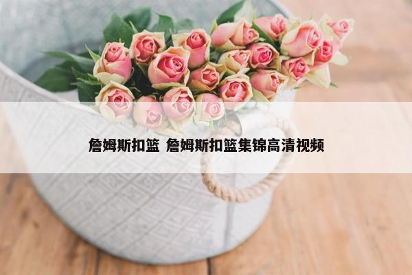 詹姆斯扣篮 詹姆斯扣篮集锦高清视频